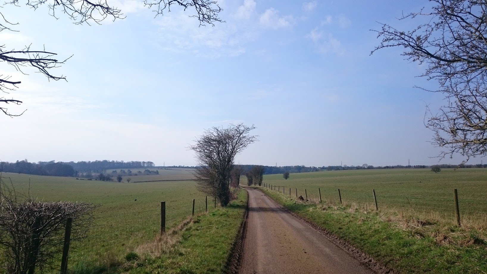 Cotswolds View
